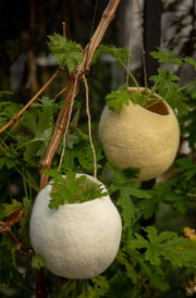 Nest bowl (hanging)